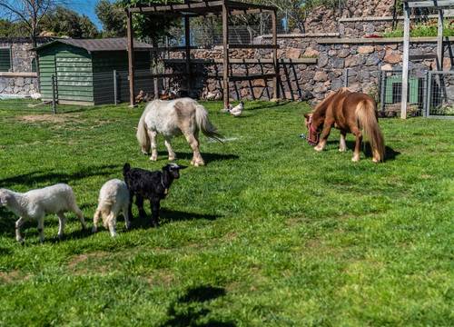 turkiye/canakkale/canakkaleayvacik/assos-alis-farm-boutique-hotel-spa-4baf7d6a.jpg