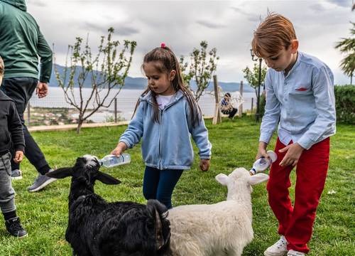 turkiye/canakkale/canakkaleayvacik/assos-alis-farm-boutique-hotel-spa-65a8c130.jpg