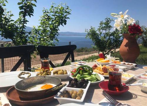 turkiye/canakkale/canakkaleayvacik/assos-alis-farm-boutique-hotel-spa-67ef8a48.jpg