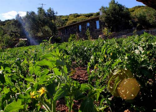 turkiye/canakkale/canakkaleayvacik/assos-alis-farm-boutique-hotel-spa-89cd561b.jpg