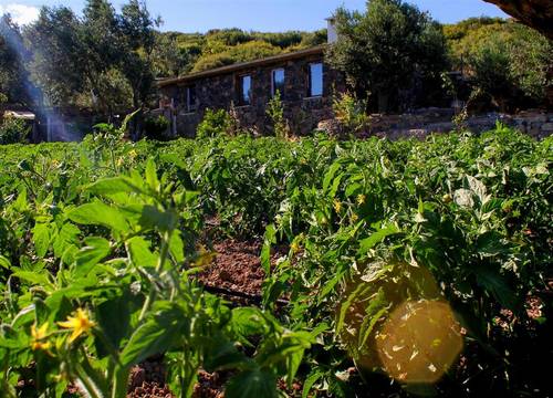 turkiye/canakkale/canakkaleayvacik/assos-alis-farm-boutique-hotel-spa-b911c802.jpg