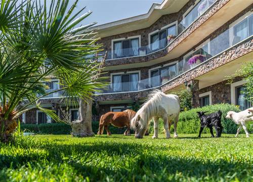 turkiye/canakkale/canakkaleayvacik/assos-alis-farm-boutique-hotel-spa-d05d22e7.jpg