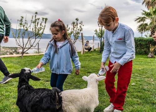 turkiye/canakkale/canakkaleayvacik/assos-alis-farm-boutique-hotel-spa-edd16cce.jpg