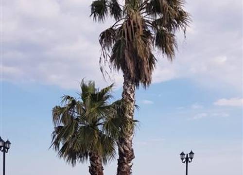turkiye/canakkale/canakkaleayvacik/assos-alis-farm-boutique-hotel-spa-ee338bbd.jpg