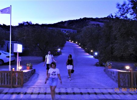 turkiye/canakkale/canakkaleayvacik/assos-nazan-beach-restaurant-f7504b7b.jpg