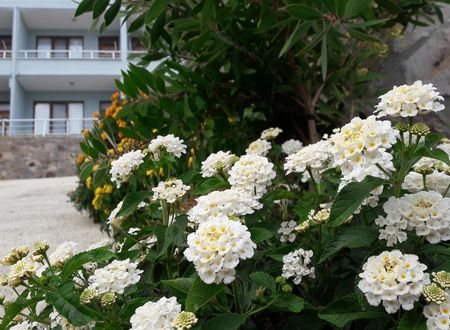 turkiye/canakkale/canakkaleayvacik/assos-nazan-motel-cbb542ee.jpg