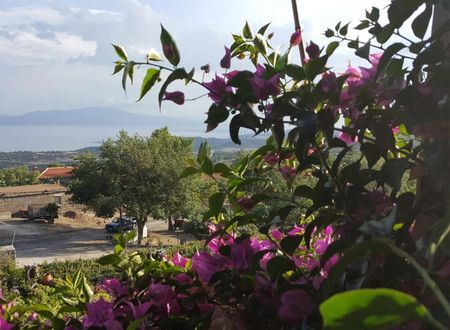 turkiye/canakkale/canakkaleayvacik/assos-sunaba-kasri-otel-714cad03.jpeg