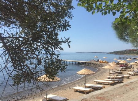 turkiye/canakkale/canakkaleayvacik/assos-sunaba-kasri-otel-8830dd77.jpg