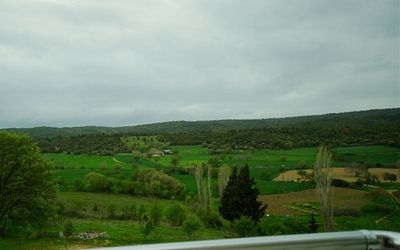 Troilus Park House · 5