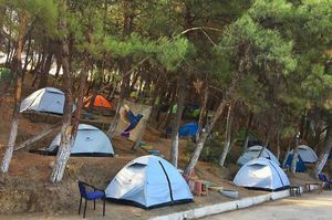 turkiye/canakkale/ezine/dolmus-camping_e640e217.jpg
