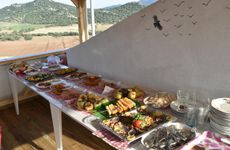 turkiye/canakkale/ezine/troy-ezine-farm-motel_be9b0238.jpg