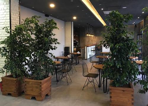 turkiye/canakkale/gelibolu/8-rooms-boutique-hotel_6e9bcbf9.jpg