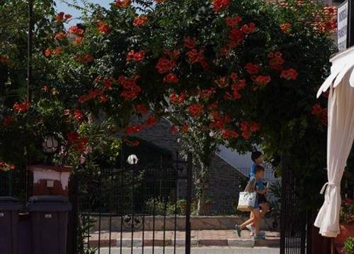 turkiye/canakkale/gokceada/morgul-pansiyon_a5758ed2.jpg
