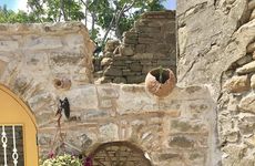 turkiye/canakkale/gokceada/sari-keci-tal-otel_2dd951db.jpg