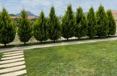 turkiye/canakkale/gokceada/trios-apart-evleri_037c6986.jpg