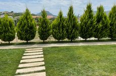 turkiye/canakkale/gokceada/trios-apart-evleri_431ee560.jpg