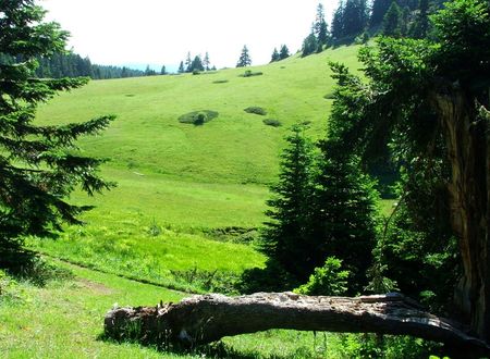 turkiye/cankiri/ilgaz/derbent-otel_7c9590ee.jpg