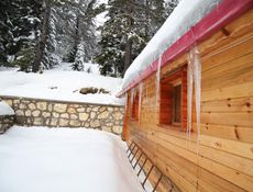 Family Villa - Bungalow