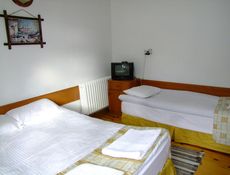Standard Room - Garden View