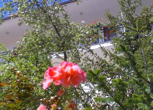 turkiye/corum/bogazkale/hotel-asikoglu-25224a.jpg
