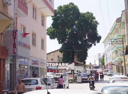 turkiye/corum/corummerkez/sirin-apart-corum-62b0c901.jpg