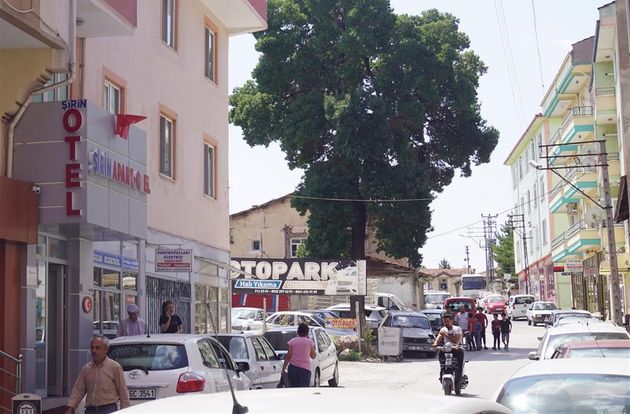 turkiye/corum/corummerkez/sirin-apart-corum-62b0c901.jpg