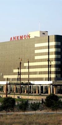 Anemon Denizli