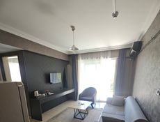 Apartment 1 + 1