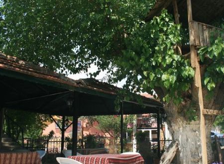 turkiye/denizli/pamukkale/allgau-hotel-1190235.jpg