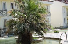 turkiye/denizli/pamukkale/barika-park-termal-1711344.jpg