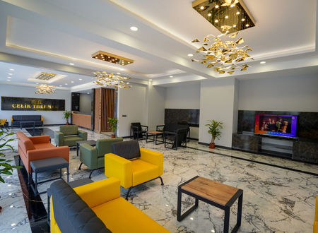 turkiye/denizli/pamukkale/celik-thermal-hotel_677e985c.jpg