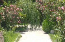 turkiye/denizli/pamukkale/cukur-vadi-thermal-apart_df46497b.jpeg