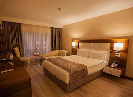 turkiye/diyarbakir/diyarbakir-yenisehir/mitannia-regency-hotel-3cef1433.jpg