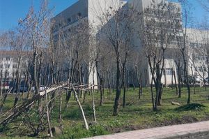 turkiye/diyarbakir/diyarbakiryenisehir/diyarbakir-uygulama-oteli-82ff74f5.jpg