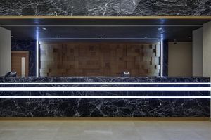turkiye/diyarbakir/merkez/hilton-garden-inn-diyarbakir_63d21120.jpg