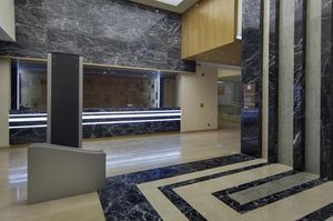 turkiye/diyarbakir/merkez/hilton-garden-inn-diyarbakir_e8a2433e.jpg