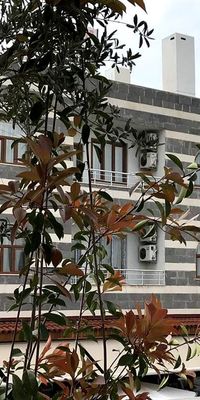 Diyarbakır Otel