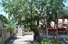 turkiye/duzce/akcakoca/demir-pansiyon_c63c04d8.jpg