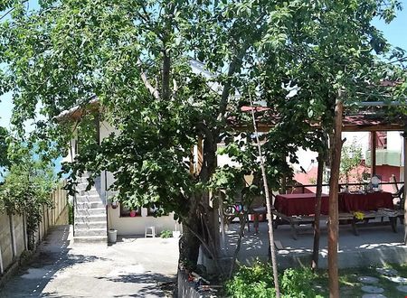 turkiye/duzce/akcakoca/demir-pansiyon_c63c04d8.jpg