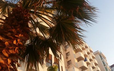 Diapolis Otel · 4