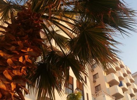 turkiye/duzce/akcakoca/diapolis-otel-1805136.jpg