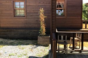 turkiye/duzce/akcakoca/gesbungalow_ce059776.jpeg