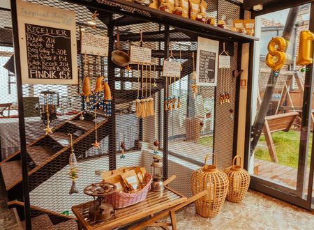 turkiye/duzce/akcakoca/livadi-butik-otel-dfefc9fe.jpg
