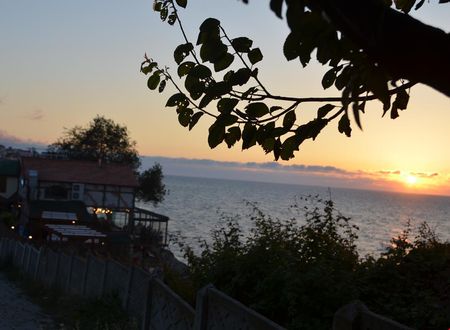 turkiye/duzce/akcakoca/livadi-butik-otel_17349f4e.jpg