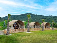 Premium Hobbit House