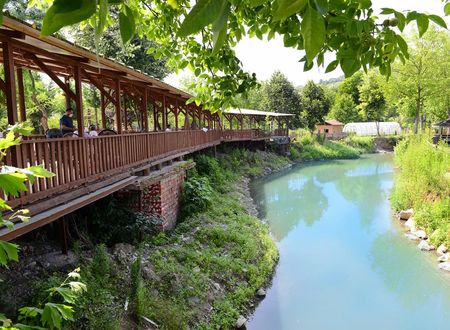 turkiye/duzce/duzce-merkez/evcek-bungalov_9bd24398.jpg