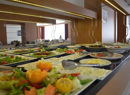 turkiye/duzce/duzce-merkez/quars-garden-hotel_6d93df37.jpg
