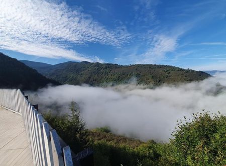 turkiye/duzce/duzce-merkez/toptepe-panorama-otel_114fa76c.jpg