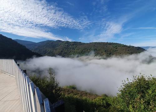 turkiye/duzce/duzce-merkez/toptepe-panorama-otel_114fa76c.jpg
