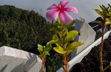 turkiye/duzce/duzce-merkez/toptepe-panorama-otel_4d423386.jpg